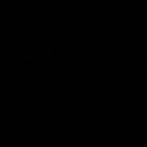 Meet your Posher, Staci